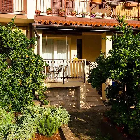 Luiza With Terrace, *